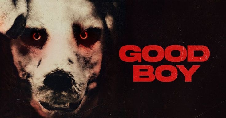 The Disturbing Allure of Privilege: ‘Good Boy’ Exposes Power and Moral Decay